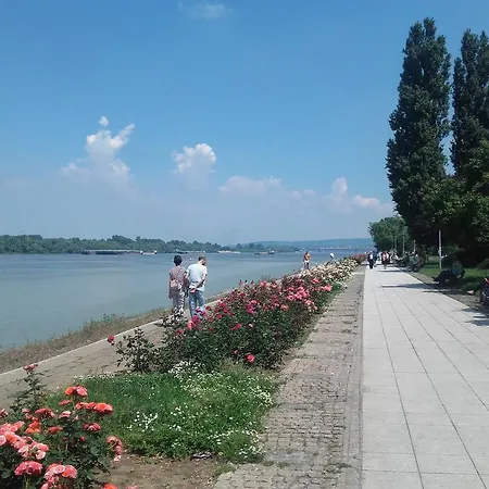 アパート Danube ベオグラード