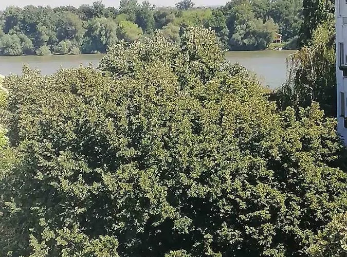 アパート Danube ベオグラード