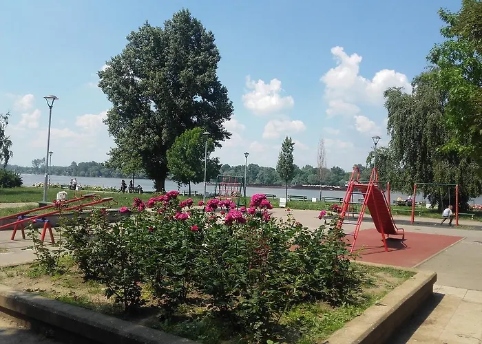 Danube * ベオグラード