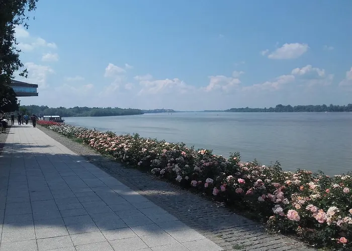 アパート Danube ベオグラード